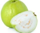 Guava கொய்யா பழம் Guava