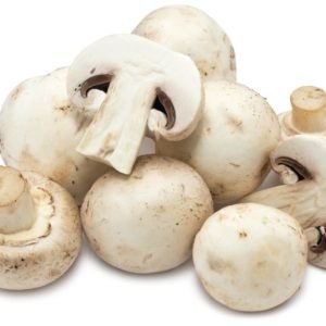 Mushroom_