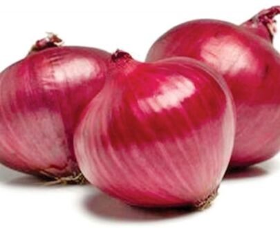 Big Red-Onions